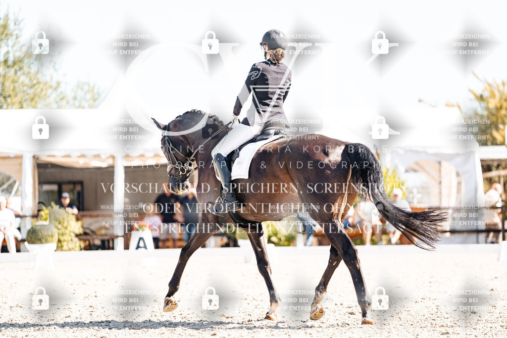 CK909387 | Turnierfotografie Pferdefotografie Trier Rheinland-Pfalz Pferdesport Reitsport Tierfotografie Sportfotografie Pferdevideo Pferdevideografie Equestrianvideography equestrianphotography  - Realisiert mit Pictrs.com