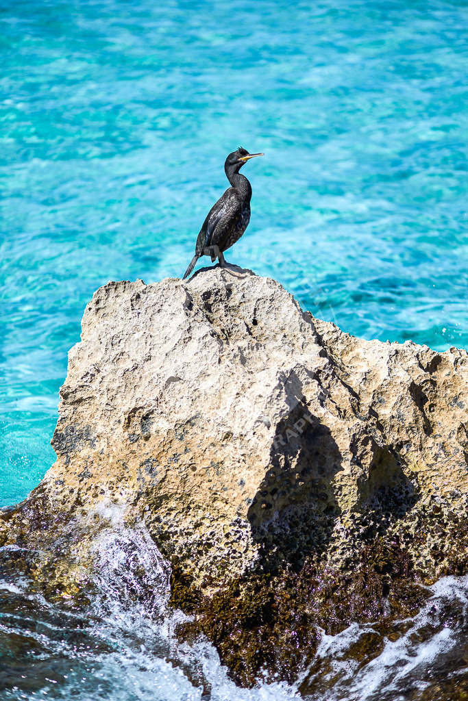 Ses Covetes | ***Beim Herunterladen der Bilddateien gelten die Lizenzbestimmungen wie auf unserer Produktseite beschrieben: *** Nennung der Bildquelle: Foto Marco Richter Photography erforderlich - am Foto oder Impressum *** weltweit, zeitlich unbegrenzt und für mehrere Projekte***