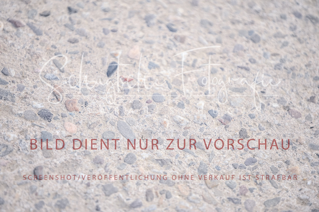 Schugtsche-Aluta25-52.Dressurprf.M2Kand-169 | Schugtsche Fotografie - Realisiert mit Pictrs.com