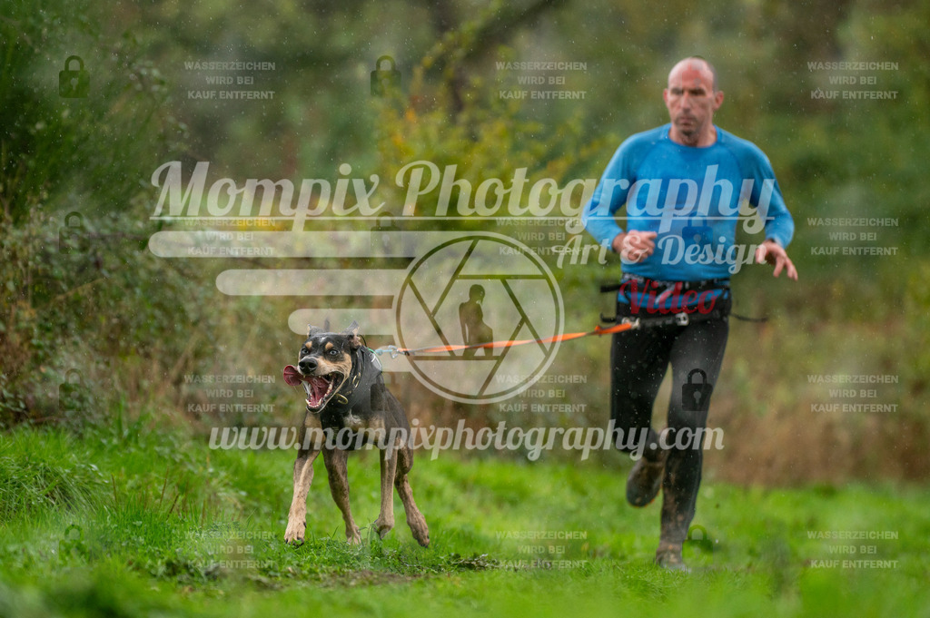 TSB_2023_E6_Canicross-112 | PayLife