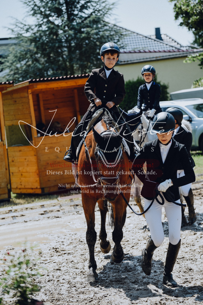 DSC_2259 | Pferde- und Turnierfotografie in Westsachsen. Pferdeportraits, Auftragszeichnungen und intuitive Kunst.
