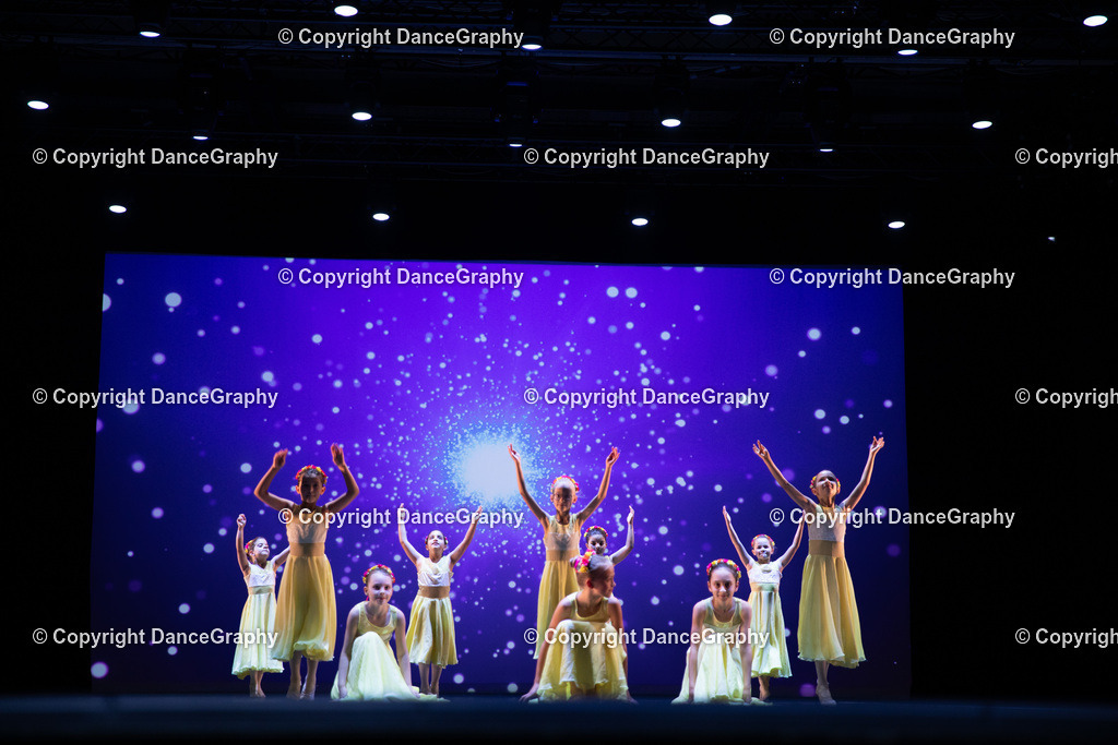 GPHY4722 | DanceGraphy - Realisiert mit Pictrs.com