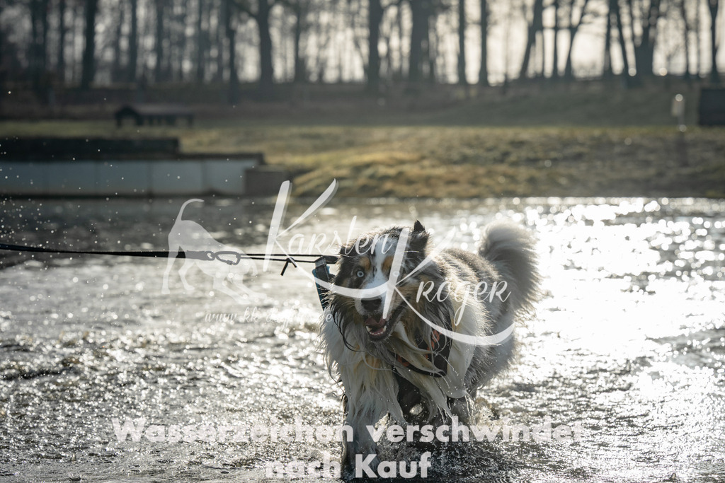 0911_ZZ90321 | kk-dogfotos