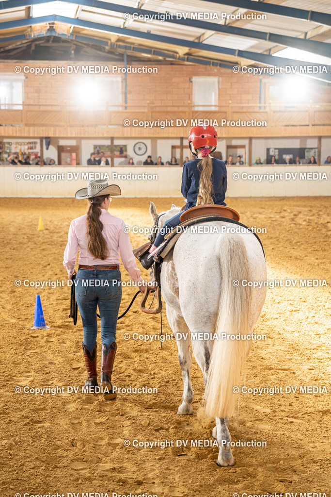 MIT01189 | dv-media-shop - Realisiert mit Pictrs.com