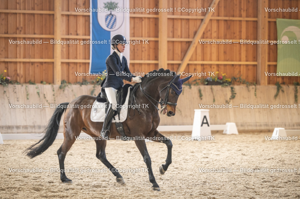 _D5A6454 | Emotionale Pferde- & People-Fotografie rund um Heidelberg, Leimen & Umgebung. Natürliche Fotos von Pferd, Mensch & Familie. Jetzt Termin sichern!