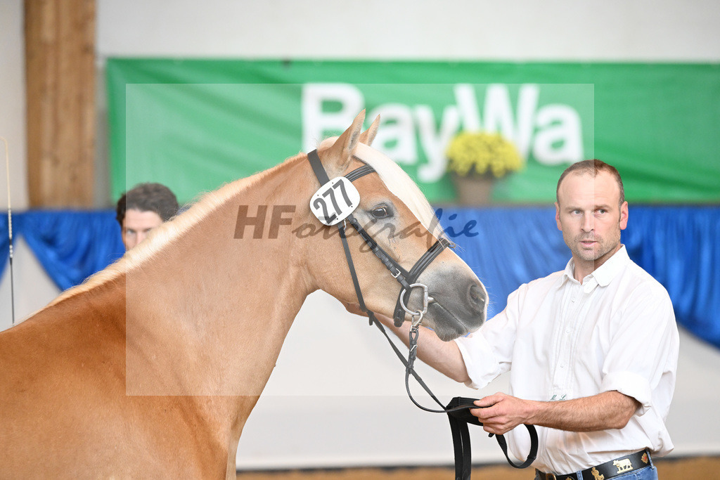 Kat-Nr. 277 Uljenna Dbg_Benzler_54223195 | hf-fotografie - Realisiert mit Pictrs.com