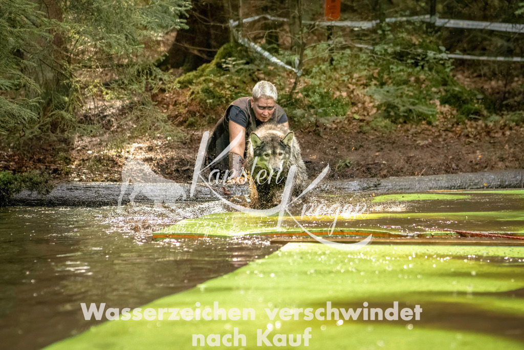 1406_ZZ90975-Bearbeitet | kk-dogfotos