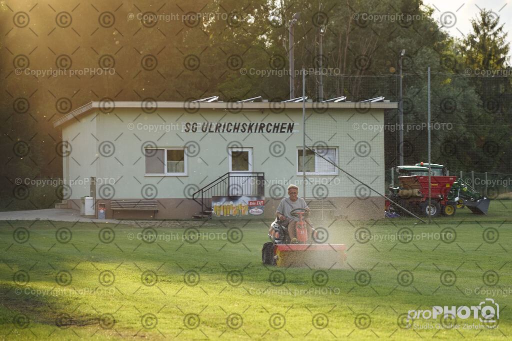 202507_Rernböck-Rasen_NZ9_1390 | proPHOTO - Realisiert mit Pictrs.com