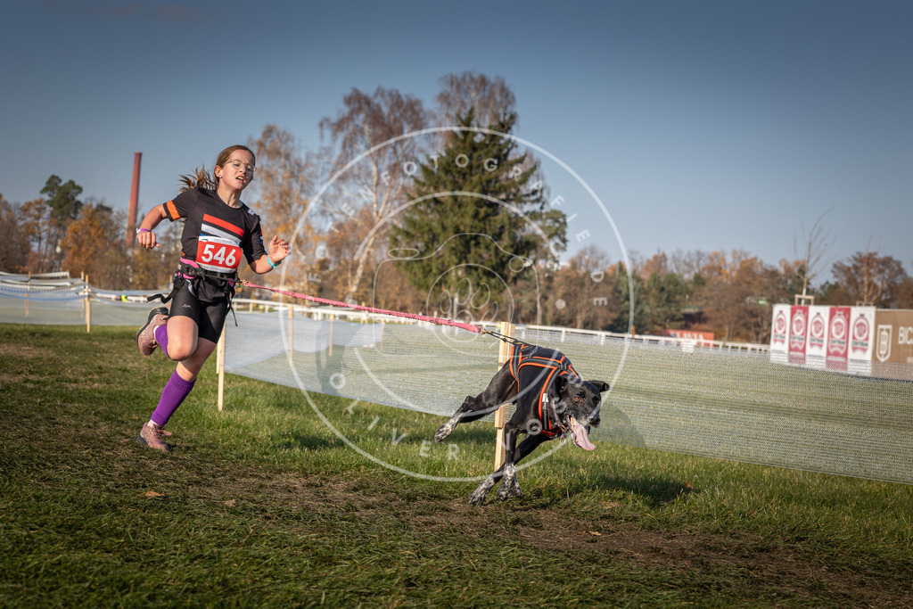 CaniXpix_0L8A9187 | Hundefotografie, Tierfotograf, Pfotenfotografie, Fotoshooting Hund, Hunde Portrait, Hundesport, Hundeportraits, Heideshooting, Hunde, Sportfotograf, Hundefotograf, Turnierhundsport, THS,  - Realisiert mit Pictrs.com