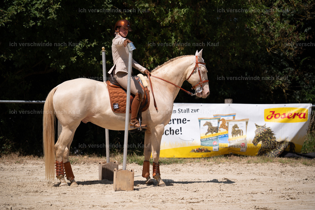 WS_ST_65_stoibphotography_SO11083 | working equitationturnier fotograf videograf stoibphotography marixx film working equitation deutschland reitsport turnierfotografie eventfotografie equestrian events