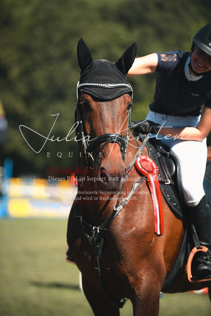 DSC_7333 | Pferde- und Turnierfotografie in Westsachsen. Pferdeportraits, Auftragszeichnungen und intuitive Kunst.