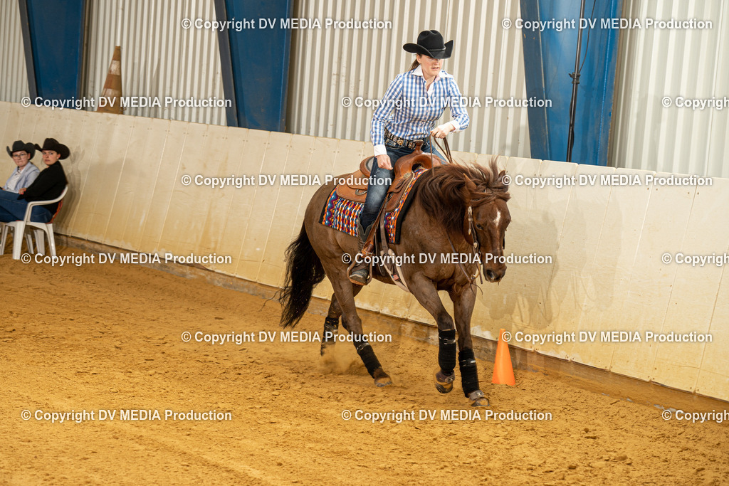 MIT00284 | dv-media-shop - Realisiert mit Pictrs.com