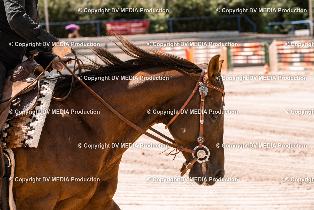 ZS3_0068 | dv-media-shop - Realisiert mit Pictrs.com