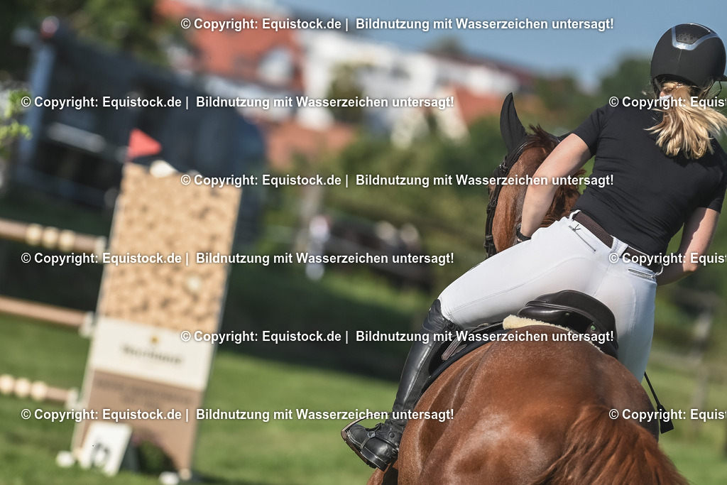 20230908_24_Springen_M_0076 | equistock