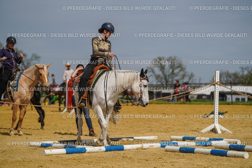 DSC04693 | Pferdegrafie