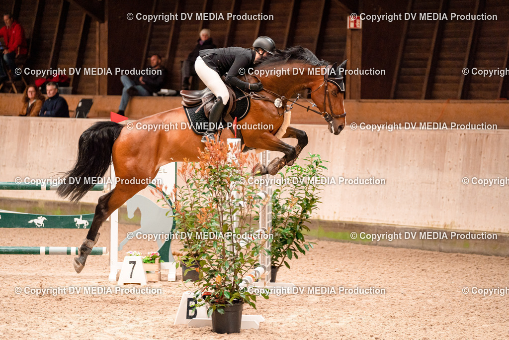 Springen Tag 1-596 | dv-media-shop - Realisiert mit Pictrs.com