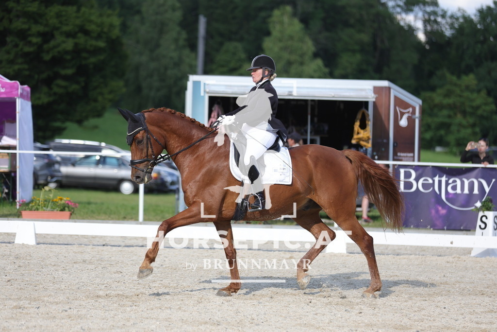 0P6A7356 | Willkommen bei Brunnmayr - Design & Fotografie – Ihrem Spezialisten für Reitturniere und Pferdeveranstaltungen in Oberösterreich, Salzburg und Bayern! Seit über 17 Jahren sind wir leidenschaftlich dabei.