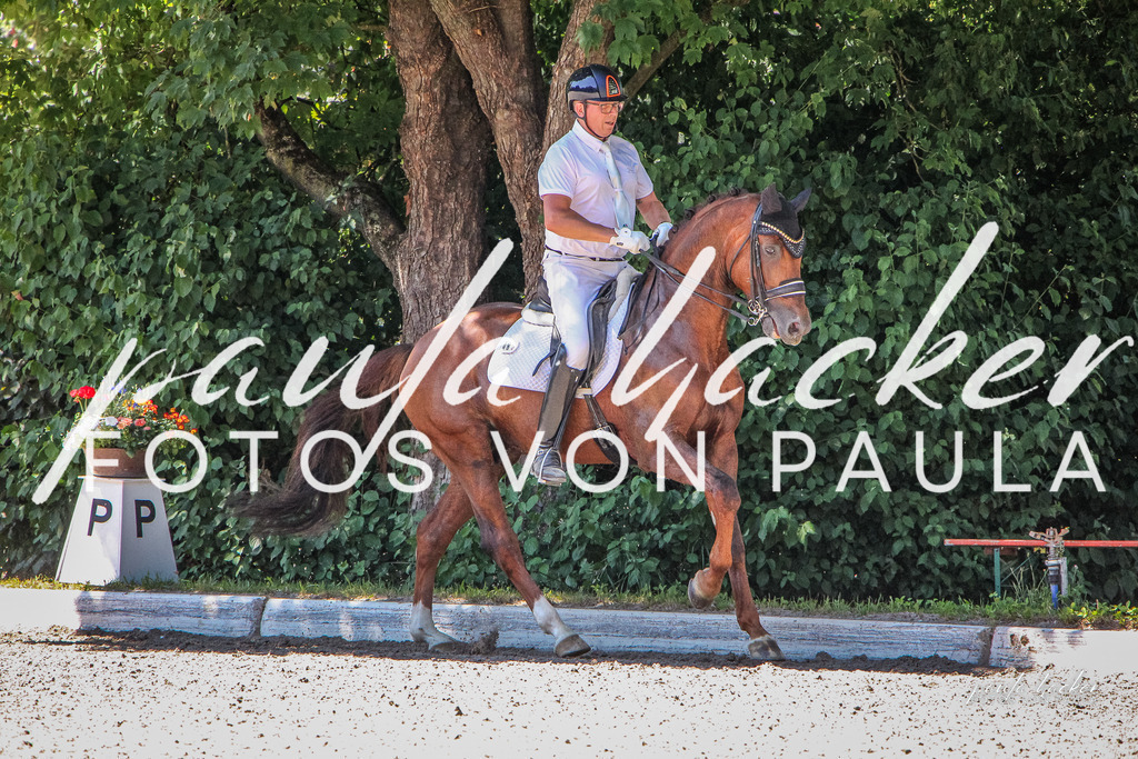 IMG_1509 | Erleben Sie dynamische Sport- und emotionale Tierfotografie in Süddeutschland mit Fotos von Paula. Spezialisiert auf Pferde- und Hundefotografie sowie Sportevents. Kontaktieren Sie mich für einzigartige und ausdrucksstarke Bilder Ihrer besonderen Momente. - Realisiert mit Pictrs.com