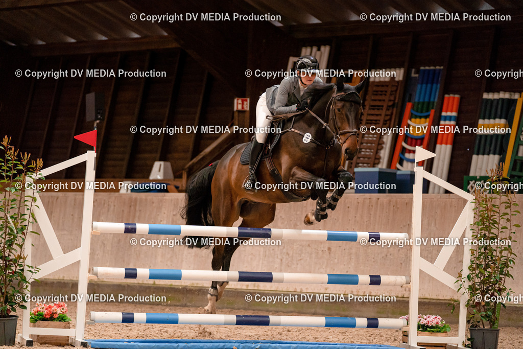 Springen Tag 1-501 | dv-media-shop - Realisiert mit Pictrs.com