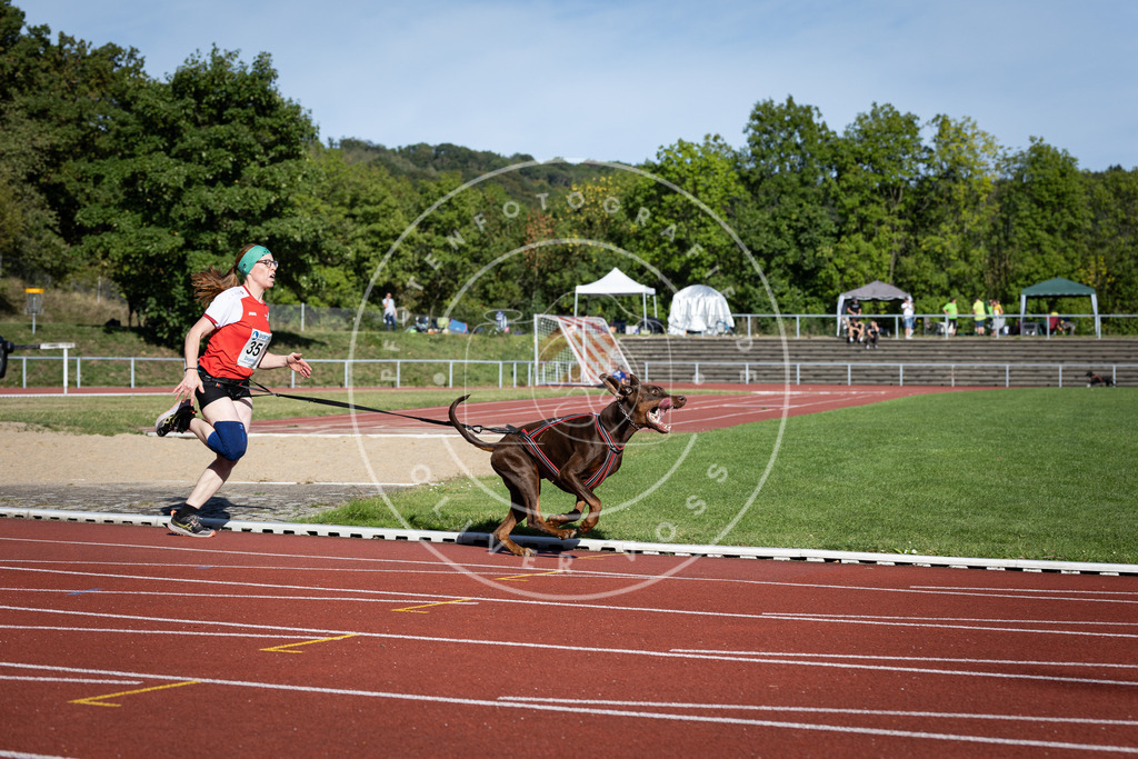 Pfotenfotografie_DV3A9078 | Hundefotografie, Tierfotograf, Pfotenfotografie, Fotoshooting Hund, Hunde Portrait, Hundesport, Hundeportraits, Heideshooting, Hunde, Sportfotograf, Hundefotograf, Turnierhundsport, THS,  - Realisiert mit Pictrs.com
