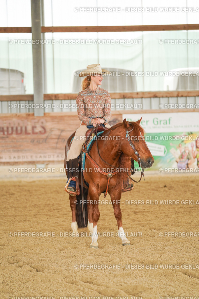 DSC03287 | Pferdegrafie