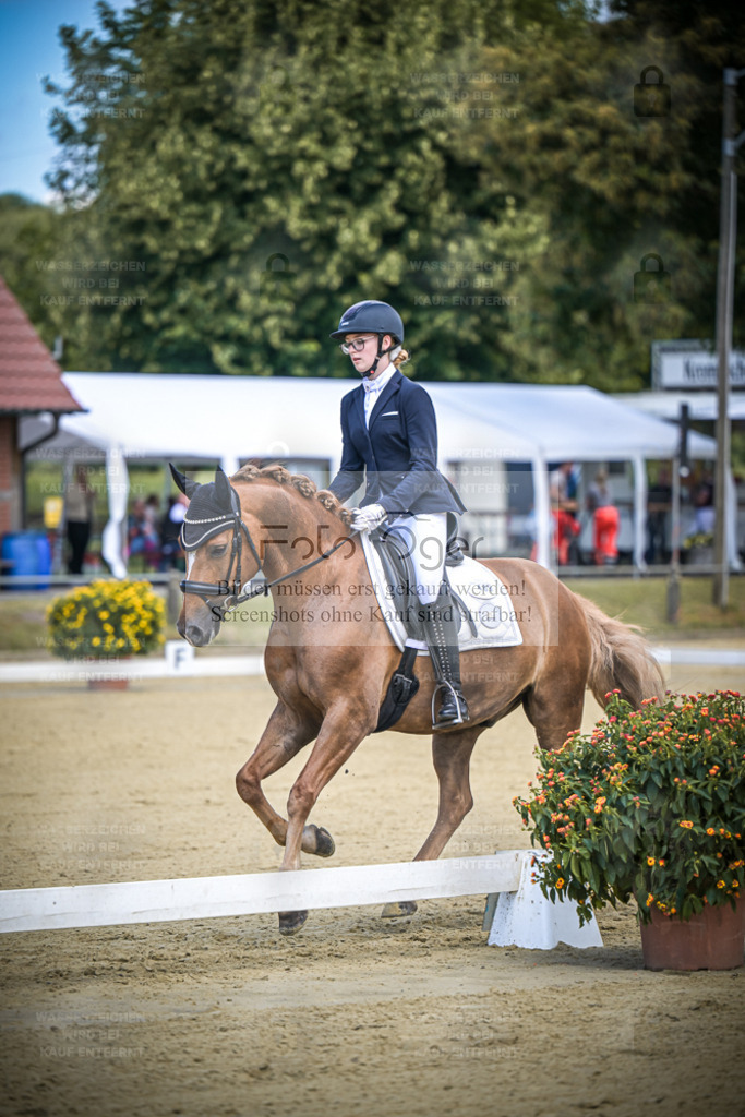 DOS_4036 | Entdecke hochwertige Reitturnierfotos von Foto Oger. Professionell, emotional und authentisch – jetzt Lieblingsmomente im Shop bestellen. - Realisiert mit Pictrs.com