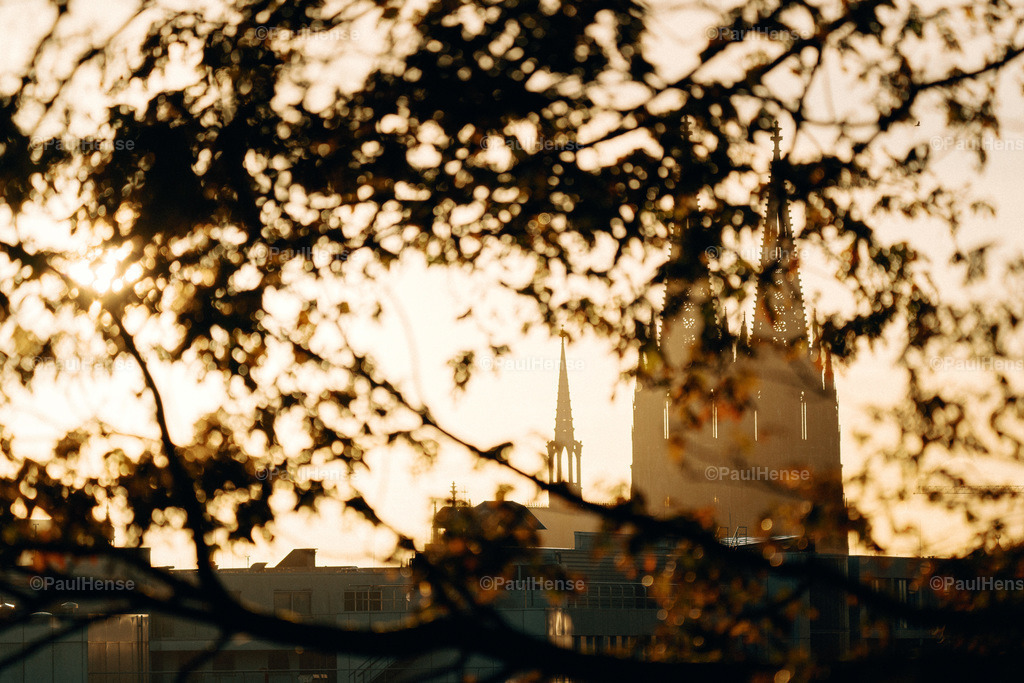 20221116_PaulHense_S0008_DSC04597 | paulhense - Realisiert mit Pictrs.com