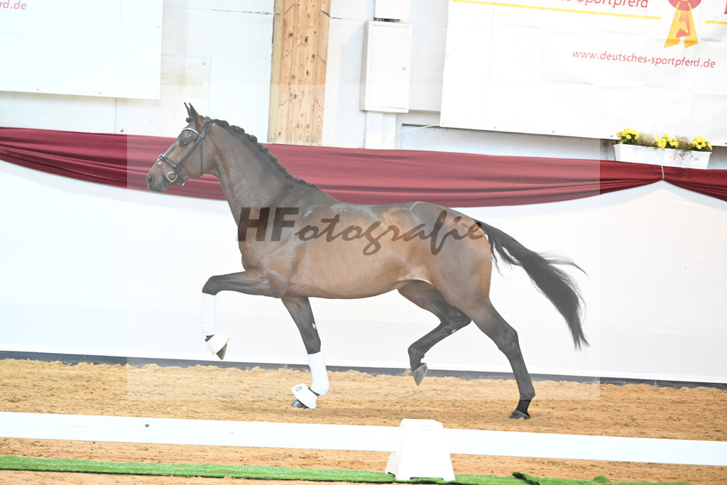 Kat-Nr. 38 v. Jovian_Limbecker_66220513 | hf-fotografie - Realisiert mit Pictrs.com