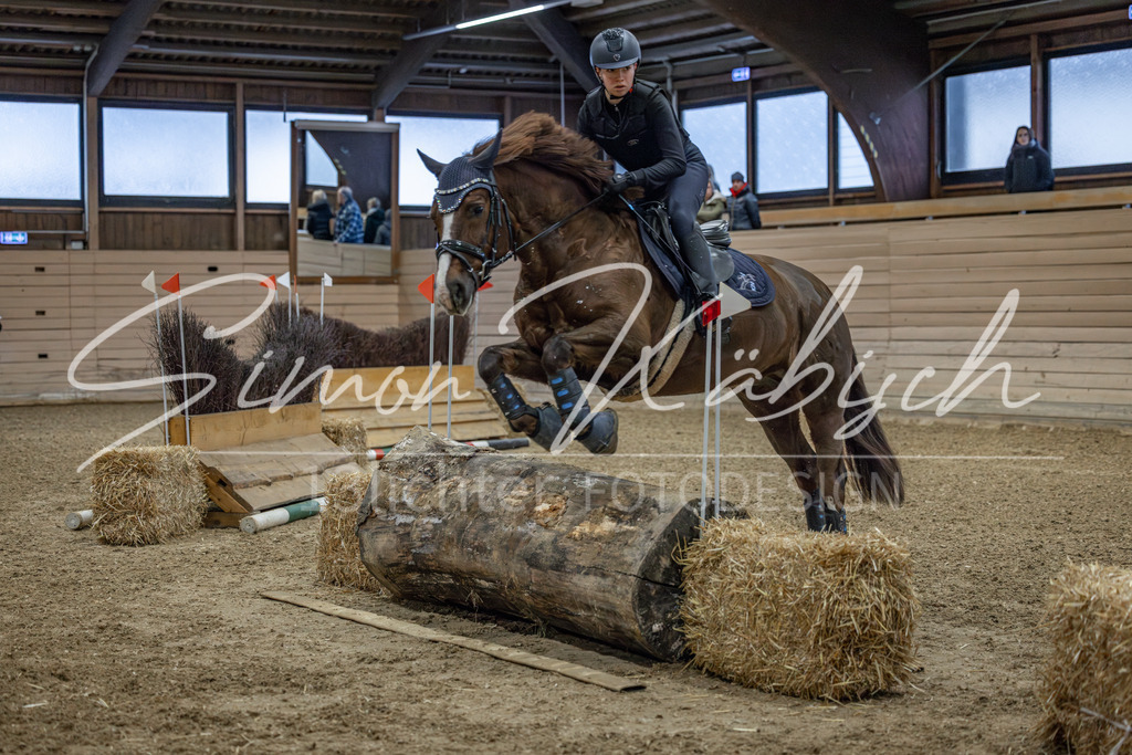 20260221-_3LI8422 | Tierfotografie Pferde, Hunde, Katzen, Haustiere.
Turnierfotografie Reitturniere, Reiten, Springreiten, Dressur in Hanau, dem Main-Kinzig-Kreis und dem Rhein-Main- Gebiet um Frankfurt