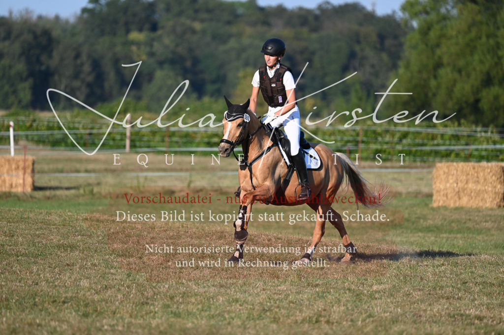 DSC_9248 | Pferde- und Turnierfotografie in Westsachsen. Pferdeportraits, Auftragszeichnungen und intuitive Kunst.
