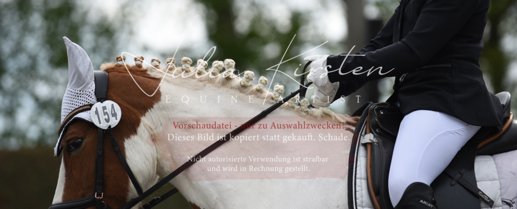 20230513_JK-Röhrsdorf-16-259 | Pferde- und Turnierfotografie in Westsachsen. Pferdeportraits, Auftragszeichnungen und intuitive Kunst.