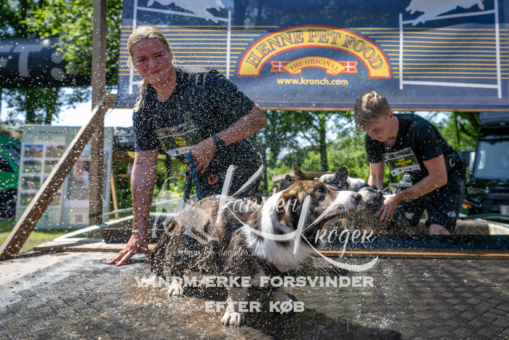 1237_ZZ91448 | kk-dogfotos