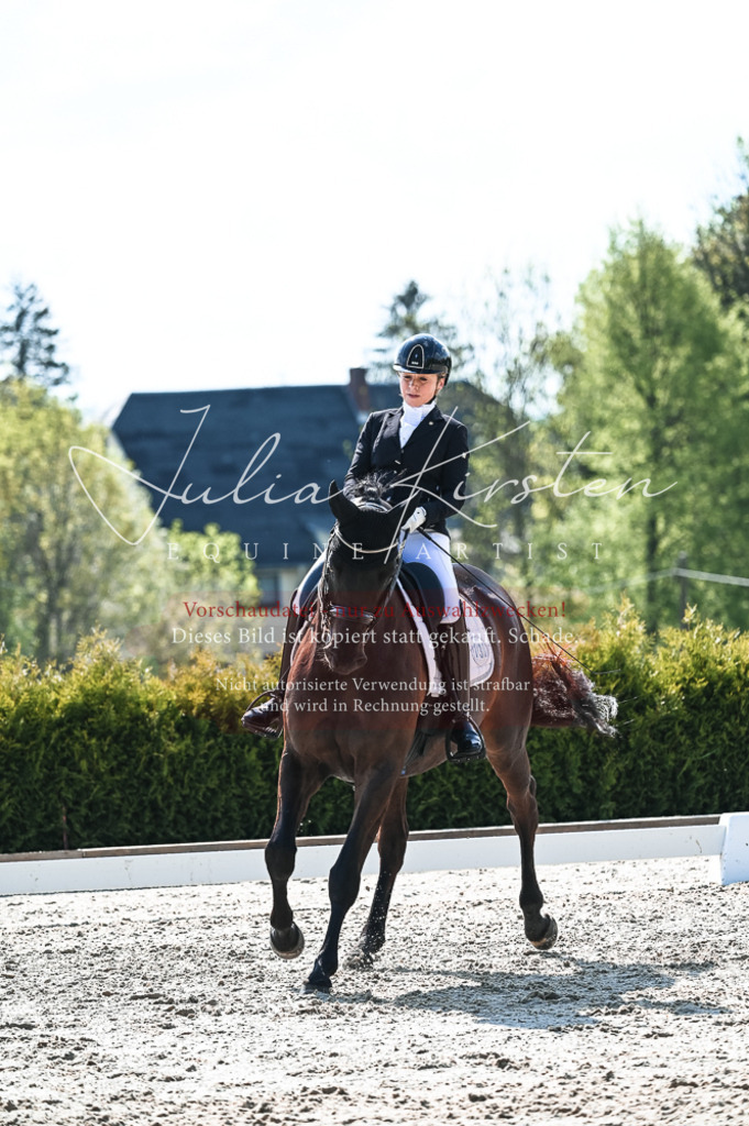 20230514_JK-Röhrsdorf-18-505 | Pferde- und Turnierfotografie in Westsachsen. Pferdeportraits, Auftragszeichnungen und intuitive Kunst.