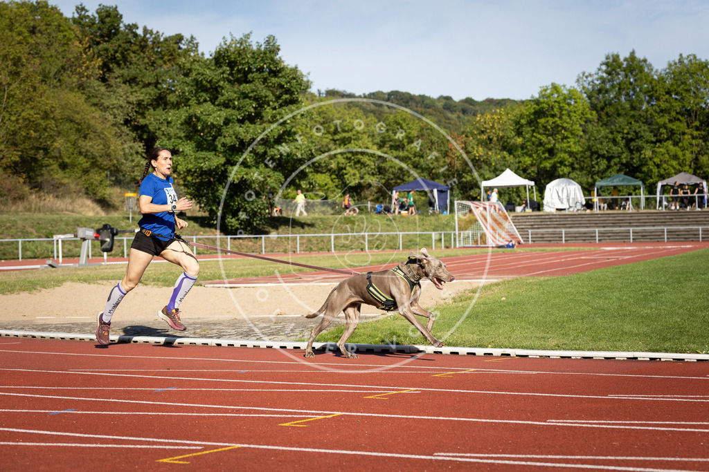 Pfotenfotografie_DV3A8403 | Hundefotografie, Tierfotograf, Pfotenfotografie, Fotoshooting Hund, Hunde Portrait, Hundesport, Hundeportraits, Heideshooting, Hunde, Sportfotograf, Hundefotograf, Turnierhundsport, THS,  - Realisiert mit Pictrs.com