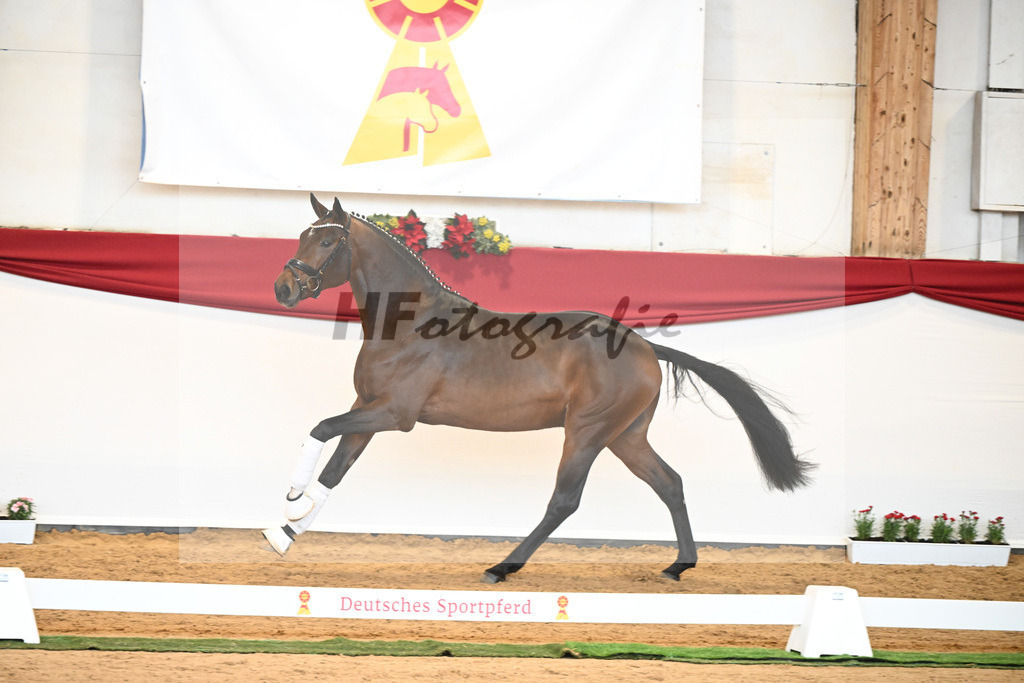 Kat-Nr. 40 Monte Carlo TC x Finest_Gestuet Greim_43230358 | hf-fotografie - Realisiert mit Pictrs.com