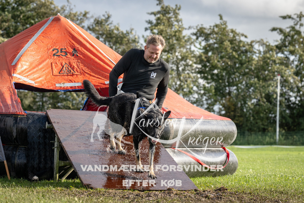 1427-94212 | kk-dogfotos