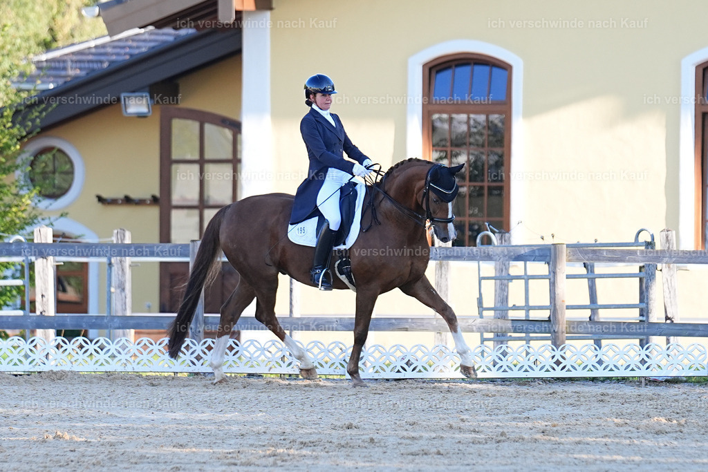 09_1-195-DRESSUR  S_  -Marixx-5655 | working equitationturnier fotograf videograf stoibphotography marixx film working equitation deutschland reitsport turnierfotografie eventfotografie equestrian events