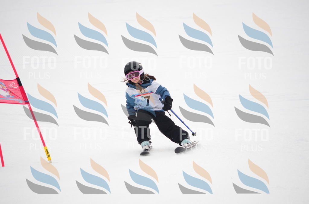 B9971 | holidayphoto