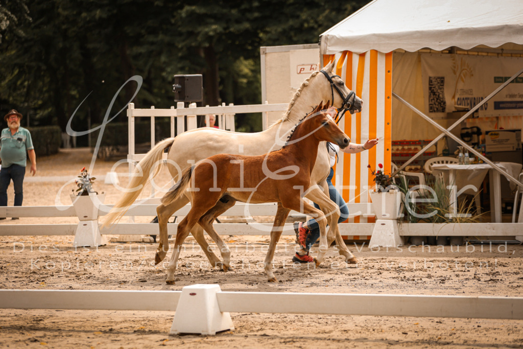 SaPA00093 | Leoni Ertmer Photography - Realisiert mit Pictrs.com