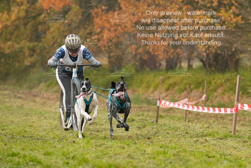 Visbeck_Sa_DS2DR2-5 | stephaniefillaphotographie - Realisiert mit Pictrs.com