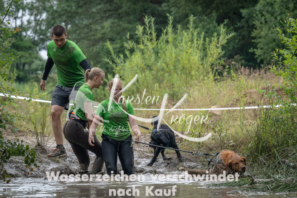 1306_ZZ92779 | kk-dogfotos