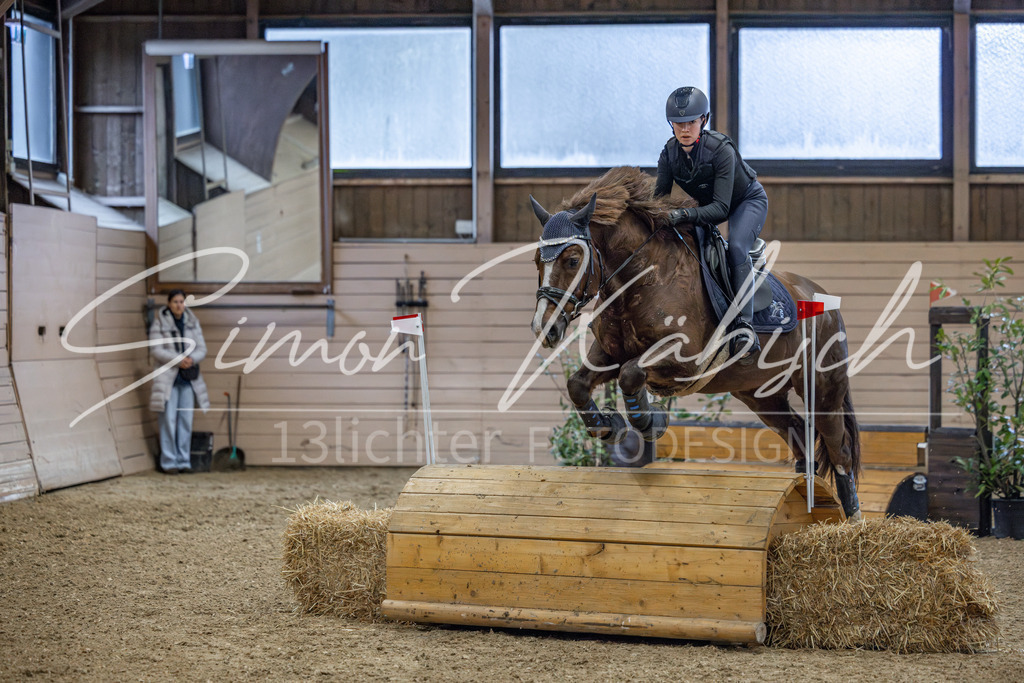 20260221-_3LI8500 | Tierfotografie Pferde, Hunde, Katzen, Haustiere.
Turnierfotografie Reitturniere, Reiten, Springreiten, Dressur in Hanau, dem Main-Kinzig-Kreis und dem Rhein-Main- Gebiet um Frankfurt