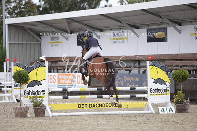 1J2A9422Lisa-Marie Bornhöft_ Coda C_ Kn252_ Havekost | Foto- und Videografie für alles rund ums Pferd. Hochwertige Bilder und Videos vom Spring- und Dressurreiten, Voltigieren & mehr. Jetzt aktuelle Veranstaltungen und Preise im Shop ansehen. - Realisiert mit Pictrs.com