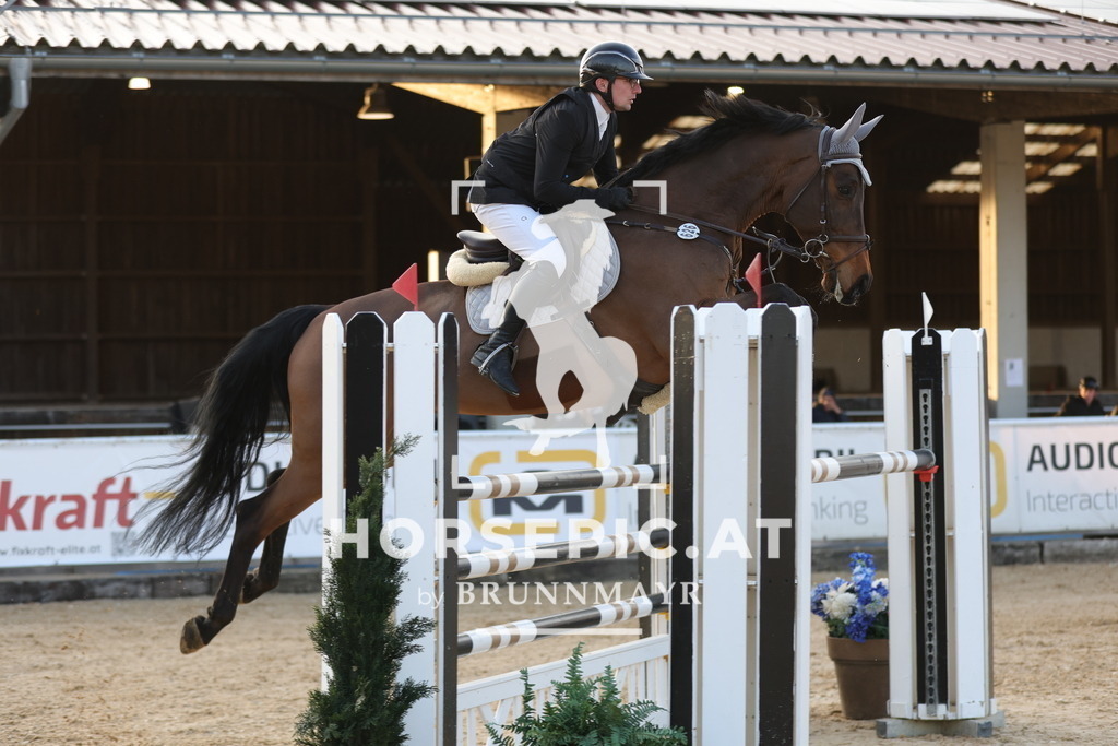 0P6A3388 | Willkommen bei Brunnmayr - Design & Fotografie – Ihrem Spezialisten für Reitturniere und Pferdeveranstaltungen in Oberösterreich, Salzburg und Bayern! Seit über 17 Jahren sind wir leidenschaftlich dabei.