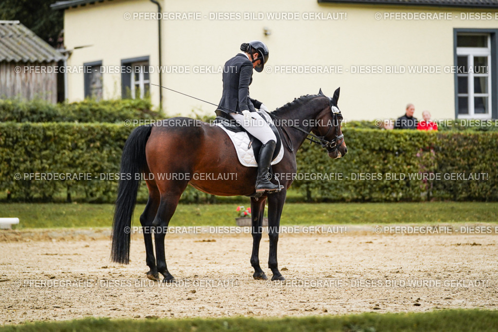 DSC07012 | Pferdegrafie