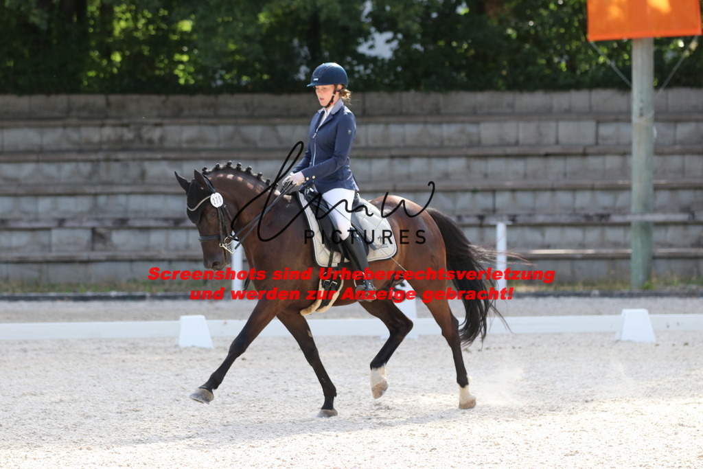 IMG_5712 | lmwpictures - Realisiert mit Pictrs.com