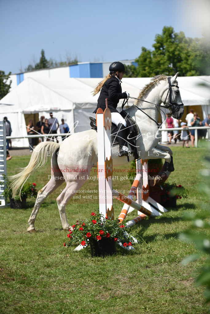 DSC_9879 | Pferde- und Turnierfotografie in Westsachsen. Pferdeportraits, Auftragszeichnungen und intuitive Kunst.
