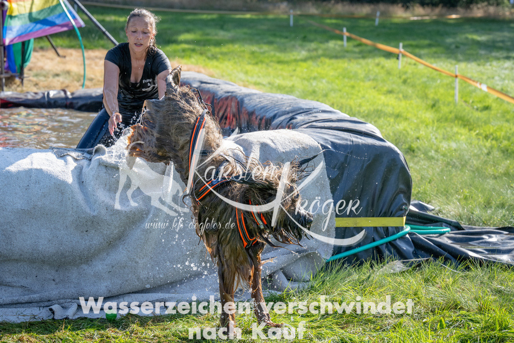1613_ZZ92822 | kk-dogfotos