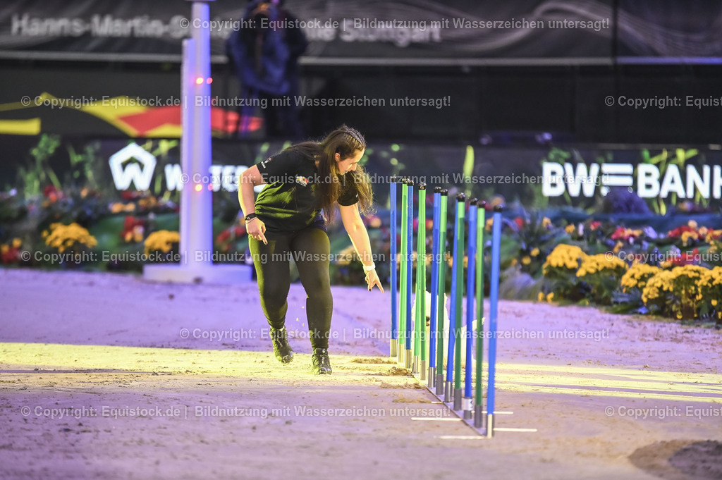 20231115_Dog-Agility_0076_TOMsPiC | Foto: Thomas Hartig