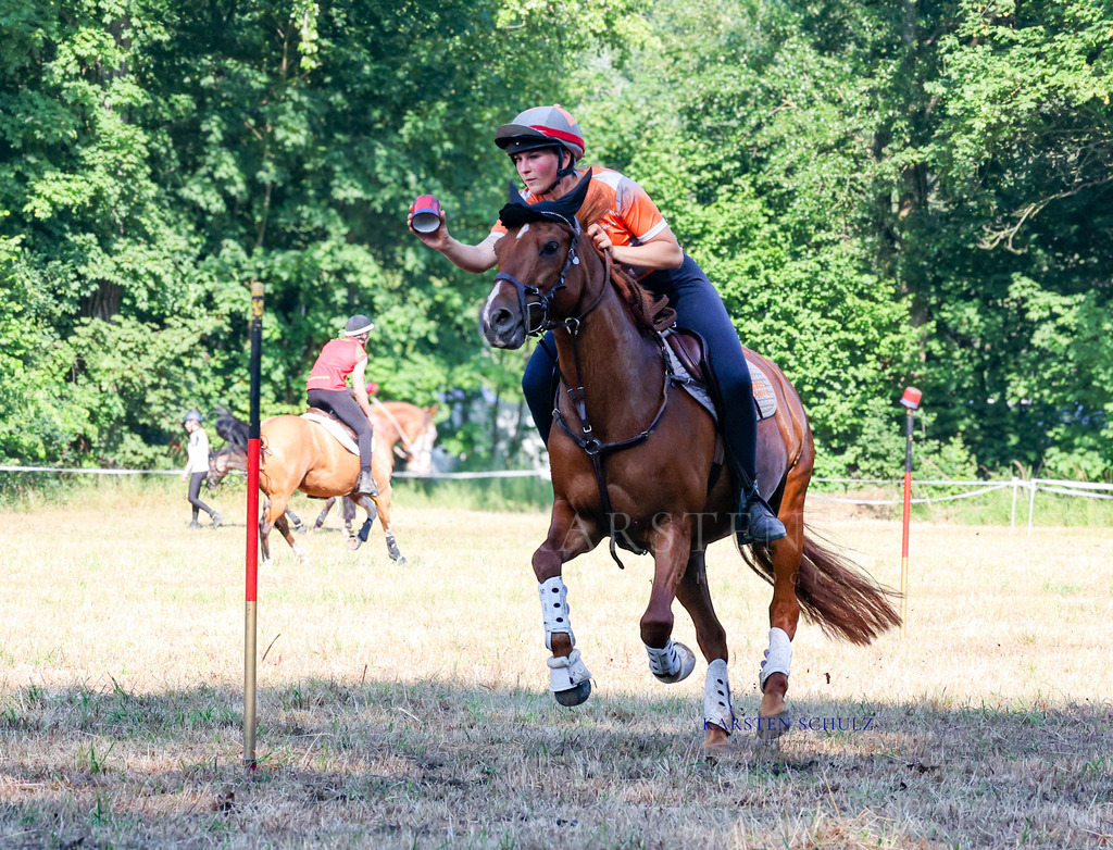 1B3A8174 | Reitsport Reiten